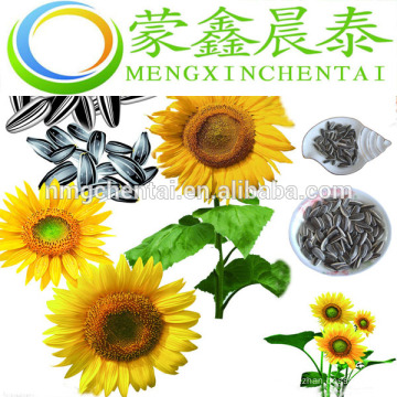 Export 2019 striped black bulk organic hybrid sunflower seed price india